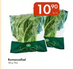 Snabbgross Romansallad erbjuda