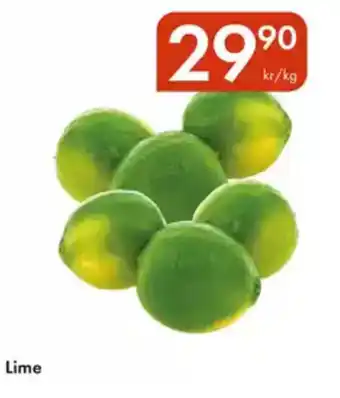 Snabbgross Lime erbjuda