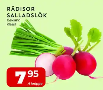 Matrix Butikerna Rädisor salladslök erbjuda