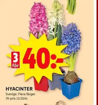 ICA Kvantum Hyacinter erbjuda