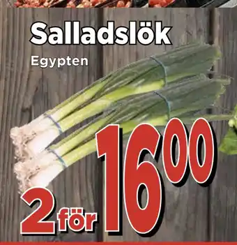 Supergrossen Salladslök erbjuda