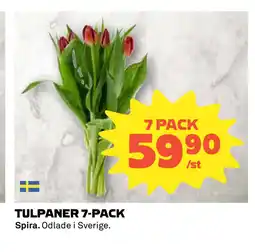 Coop Daglivs TULPANER 7-PACK erbjuda