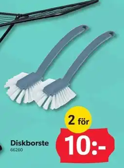 DollarStore Diskborste erbjuda