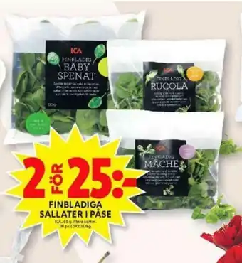 ICA Maxi ICA Finbladiga Sallater I Påse 65g erbjuda