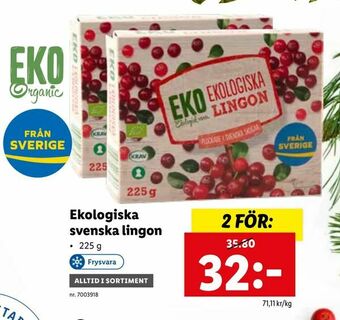 Lidl Ekologiska svenska lingon erbjuda