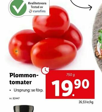 Plommontomater
