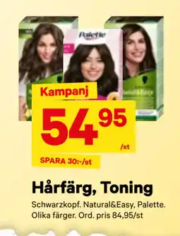 City Gross Hårfärg, Toning erbjuda