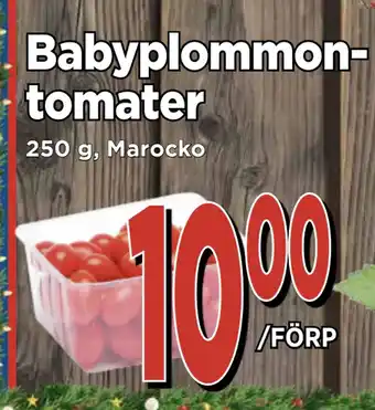 Supergrossen Babyplommontomater erbjuda