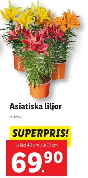 Lidl Asiatiska liljor erbjuda