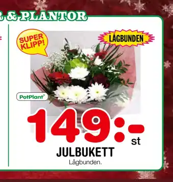 Nya Pulsen JULBUKETT erbjuda