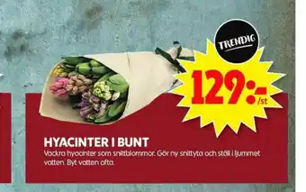 ICA Maxi Blommor erbjuda