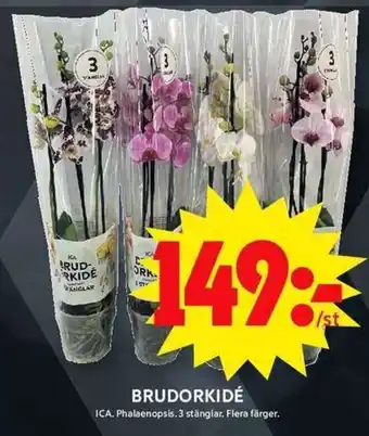 ICA Maxi Brudorkidé erbjuda