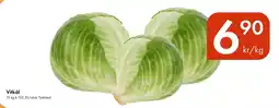 Snabbgross Vitkål erbjuda