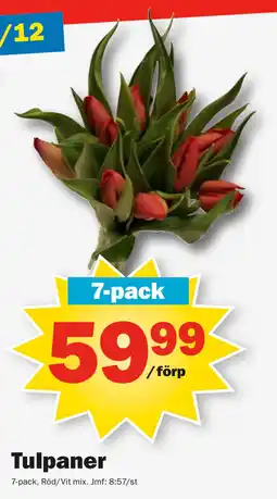 Pekås Tulpaner erbjuda