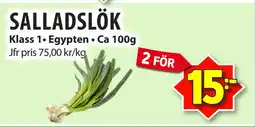 Matvärlden Tensta SALLADSLÖK erbjuda