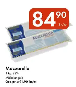 Snabbgross MICHELANGELO Mozzarella erbjuda