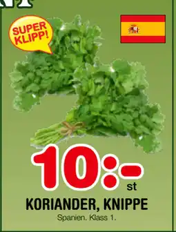 Nya Pulsen KORIANDER, KNIPPE erbjuda