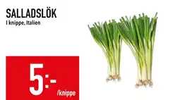 SALLADSLÖK
