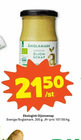 Ekologisk Dijonsenap