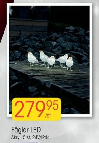 EKO Fåglar LED erbjuda
