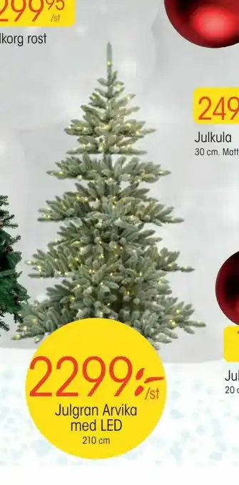 EKO Julgran Arvika med LED erbjuda