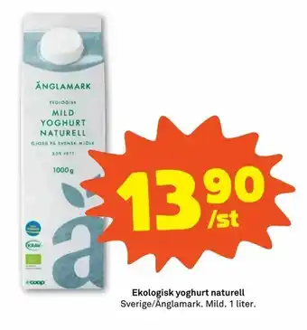 Stora Coop Ekologisk yoghurt naturell erbjuda