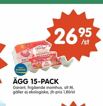 Tempo Ägg 15-pack erbjuda