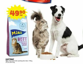 Kattmat