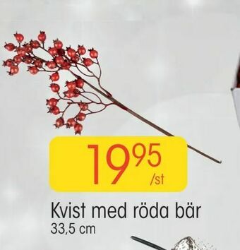EKO Kvist med röda bär erbjuda