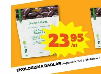 Ekologiska dadlar
