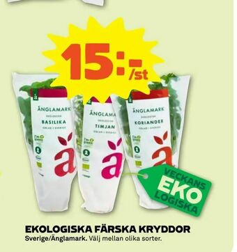 Coop Forum Ekologiska färska kryddor erbjuda