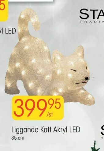 EKO Liggande Katt Akryl LED erbjuda