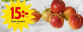 Matöppet Äpple Jonagold erbjuda