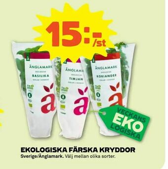 Stora Coop Ekologiska färska kryddor erbjuda