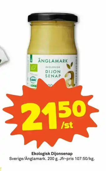 Stora Coop Ekologisk Dijonsenap erbjuda