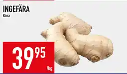 Matdax INGEFÄRA erbjuda