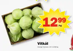 Pekås Vitkål erbjuda