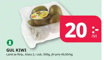 Tempo Gul kiwi erbjuda