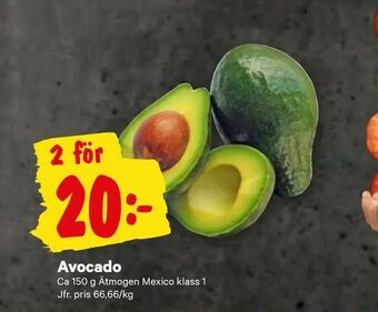 City Gross Avocado erbjuda