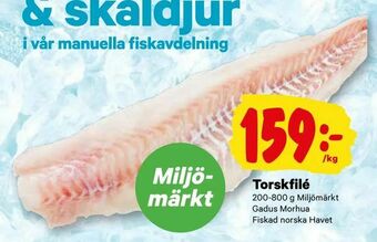 City Gross Torskfilé erbjuda
