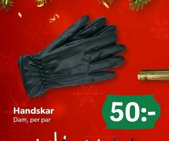 DollarStore Handskar erbjuda