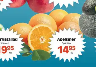Apelsiner