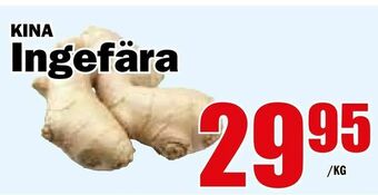 Matdax Ingefära erbjuda