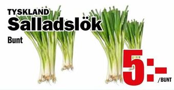Matdax Salladslök erbjuda
