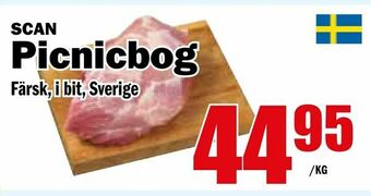 Picnicbog