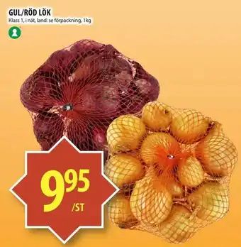 Gul/röd lök
