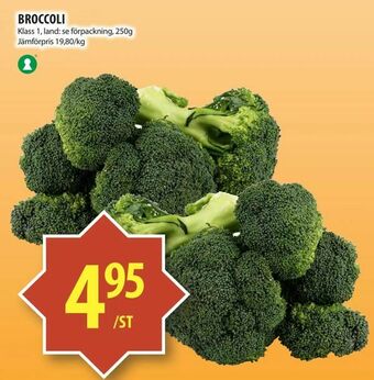 Broccoli
