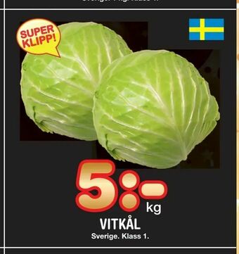 Nya Pulsen Vitkål erbjuda