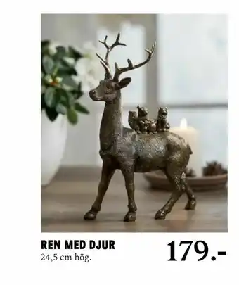 Blomsterlandet Ren med djur erbjuda