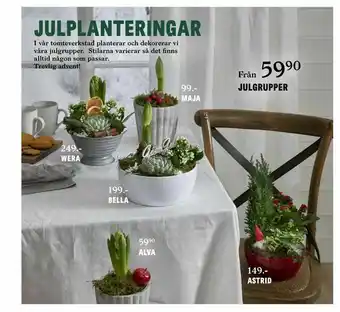 Blomsterlandet Julgrupper erbjuda